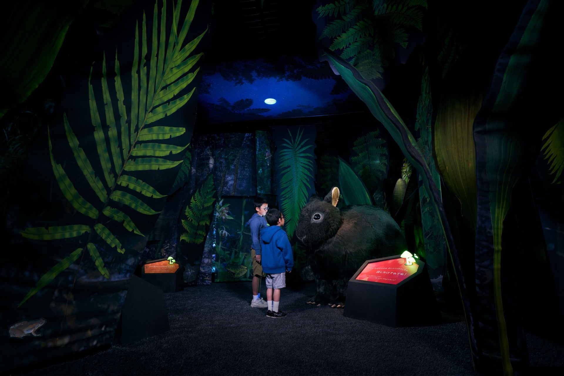 アマミノクロウサギミュージアム Quru Guru1